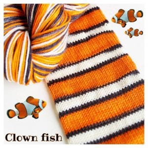 Clown Fish colorway. Photo Courtesy of Biscotte Yarns