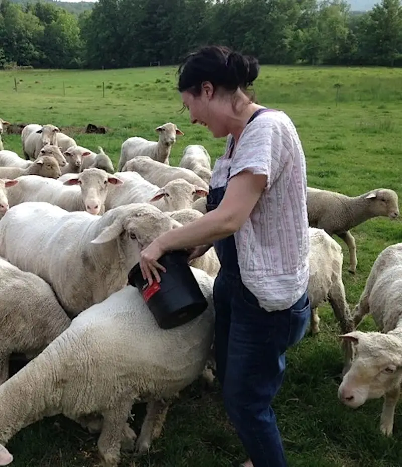 Jill Draper, a smiling woman with dark hair and light skin wearing denim overalls and a light pink striped shirt, feeds a flock of white sheep from a black bucket in a green pasture.