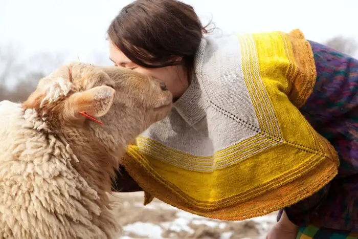 Jill Draper, a woman with light skin and long dark hair worn pulled back, leans over to hug a friendly looking tan sheep. Jill is wearing a hand knitted shawl in stripes of tan, yellow, and orange wool yarn.