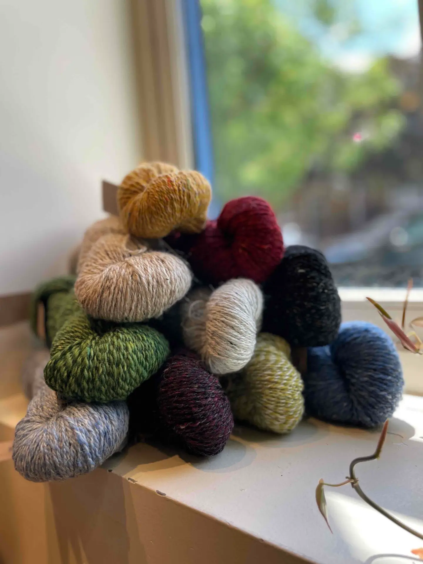 Stacked colorful skeins of Baa Ram Ewe Donegal Twists in variegated shades on a windowsill with blurred greenery visible outside.