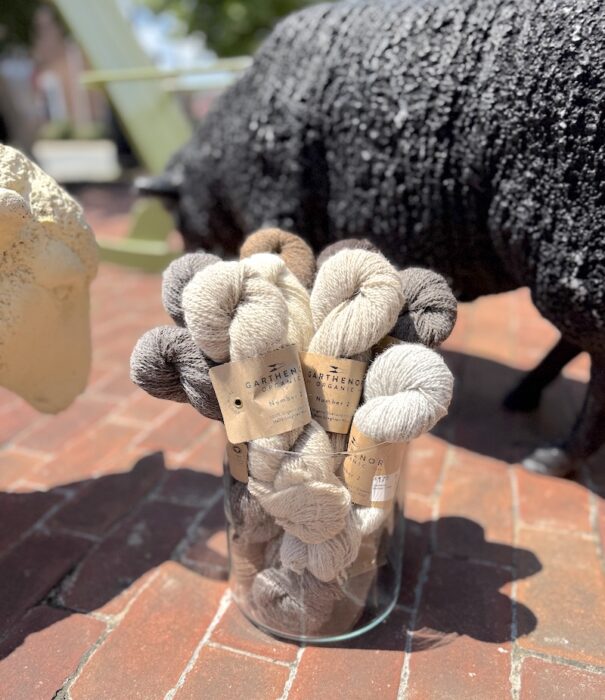 Skeins of Garthenor Organic Number 2 yarn in a glass vase on a sunny brick sidewalk, flanked by sheep sculptures.