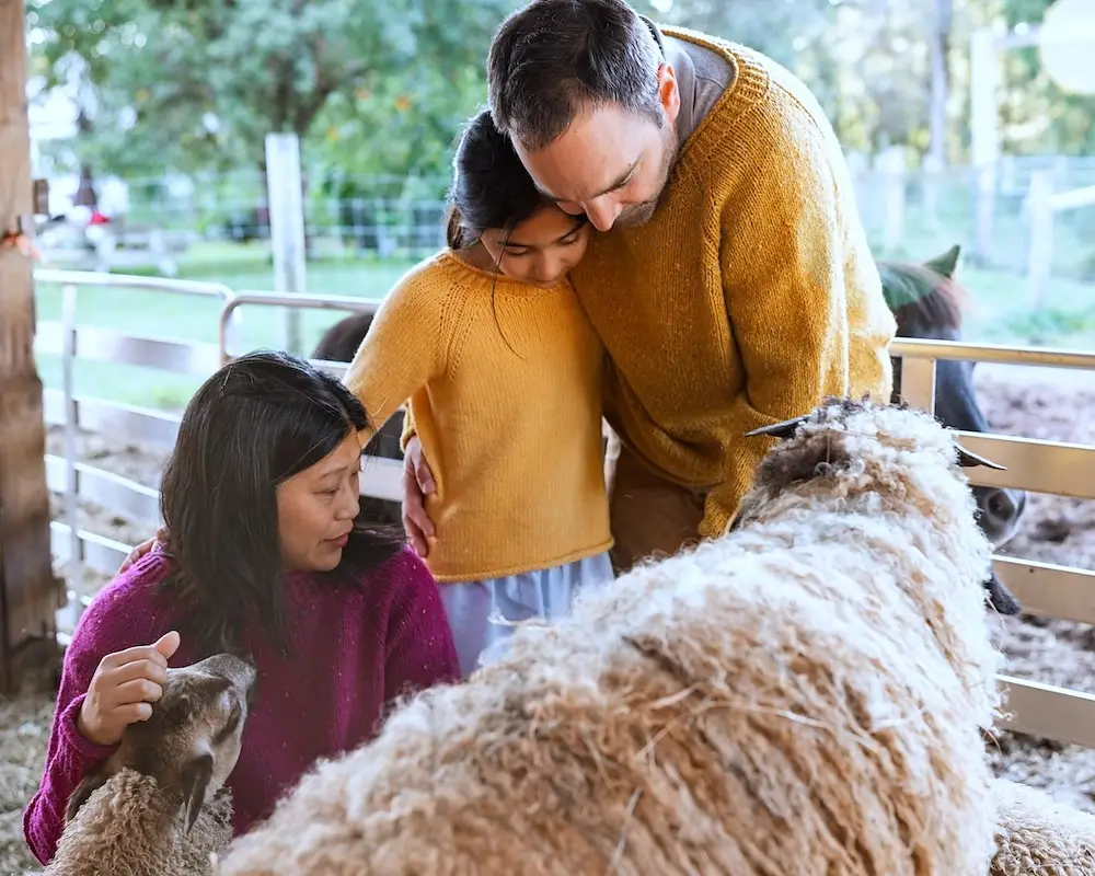 The Winter Lamb Sweater by Ashley Weeks Cart and The Child Winter Lamb Sweater by Geraldine Shen